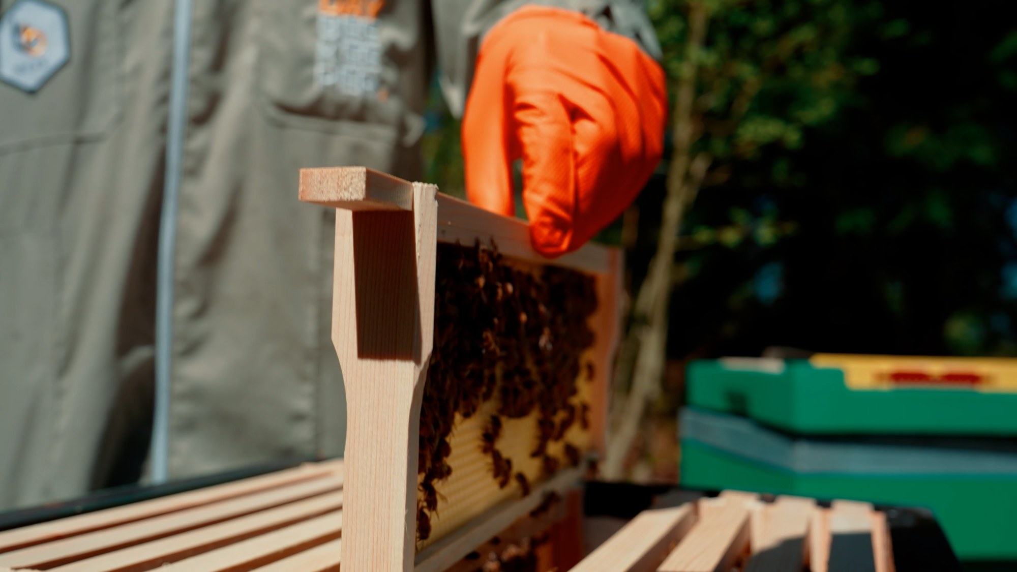 When to add a super to a beehive