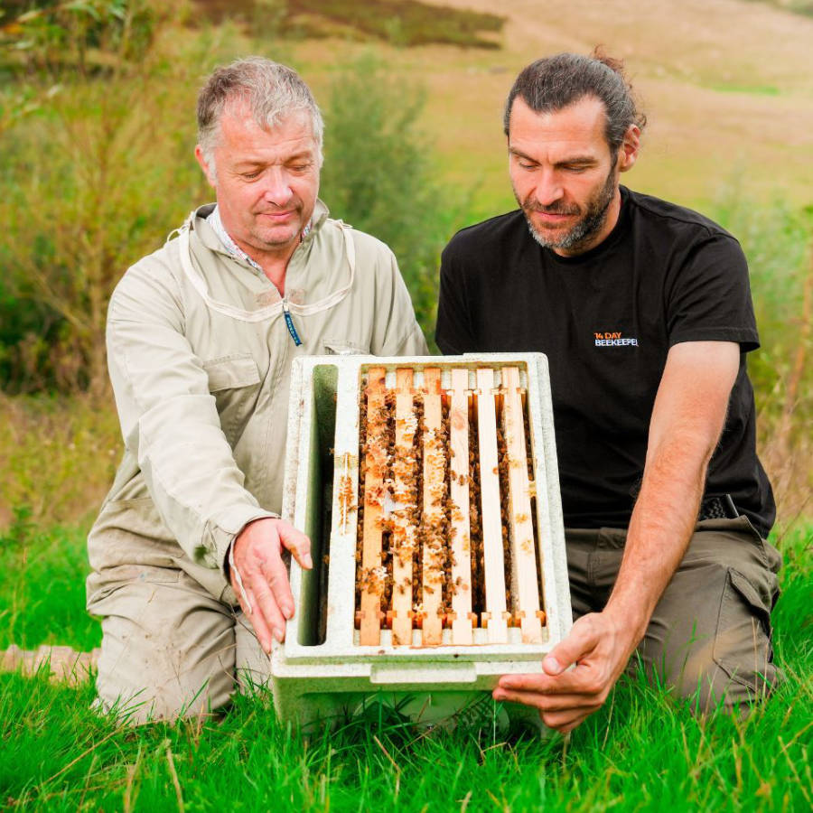 Two men holding an overwintered colony (nuc) of bees on National frames in front of a grass background